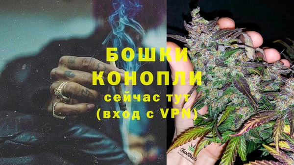 СК Михайловск
