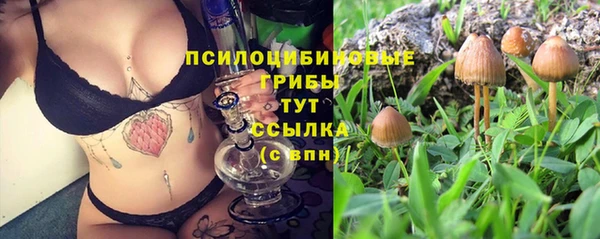 СК Михайловск