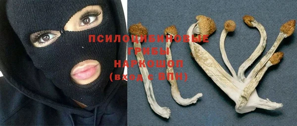 гидропоника Михайловка